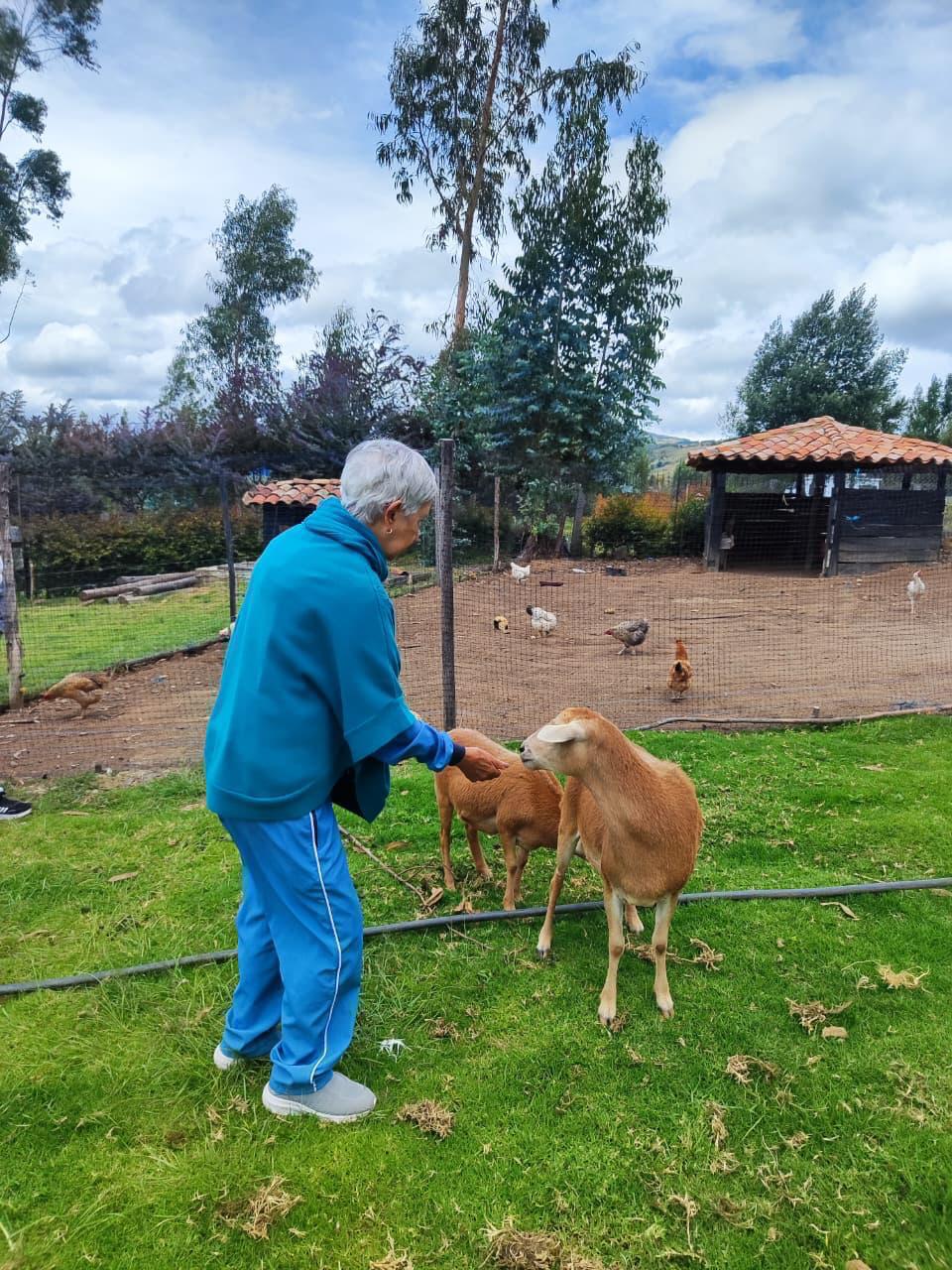 Contacto con animales de la granja