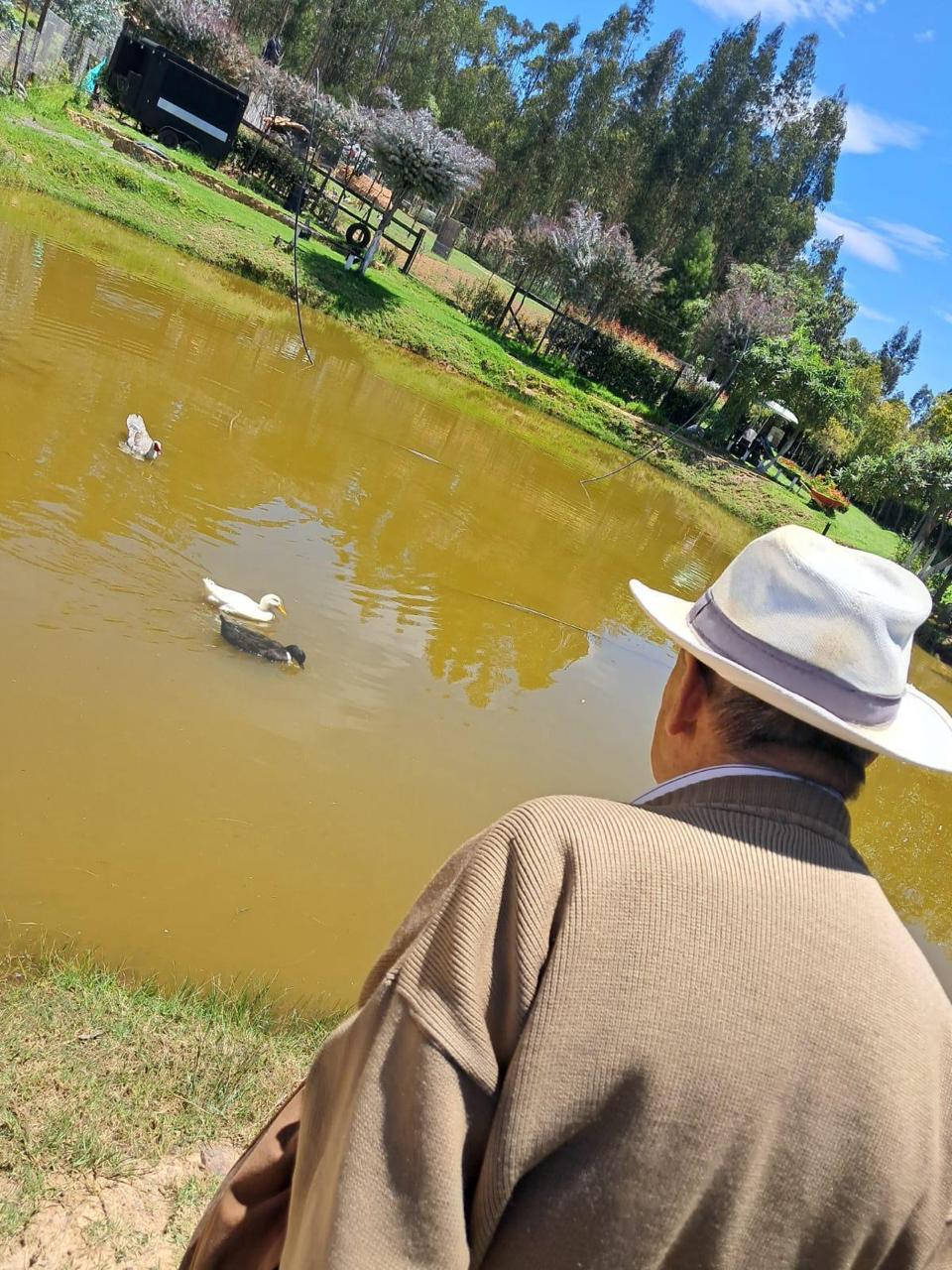 Residente contemplando el lago con patos